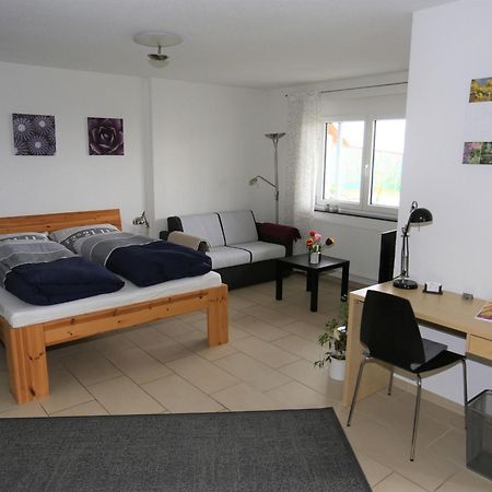 Ferienwohnung Rheingeschaut باد بيلنغن المظهر الخارجي الصورة